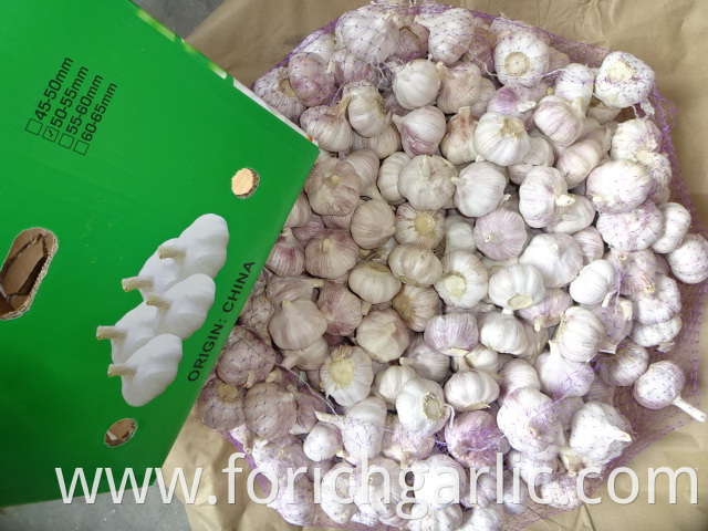 Crop 2019 Normal Garlic